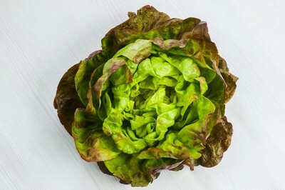 Red Leaf Lettuce (Local)