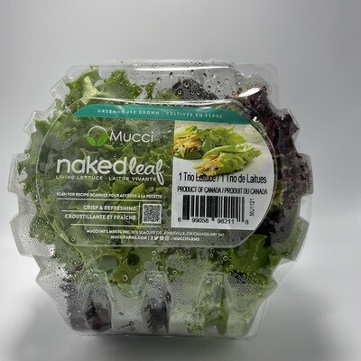 Trio Lettuce - Naked Leaf - Mucci