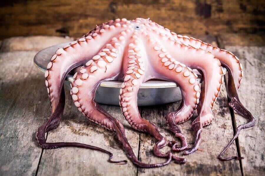 Dockside Fisheries - Spanish Octopus 3lb +