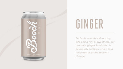 Booch 355ml Cans - Ginger