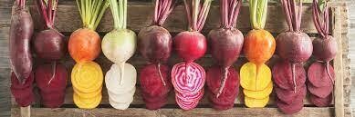 Beets - Purple, Gold, Stripped