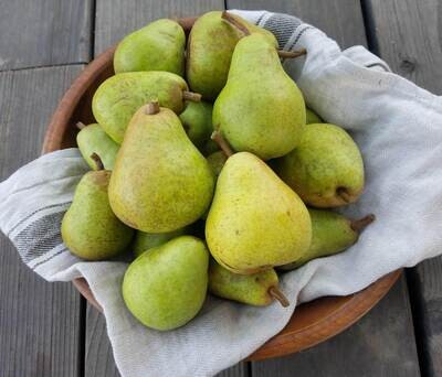 Pears - Bartlett (bulk box) PREORDER