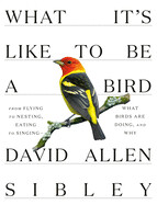 What It&#39;s Like to Be a Bird: From Flying to Nesting, Eating to Singing--What Birds Are Doing, and Why ( Sibley Guides ) by David Allen Sibley