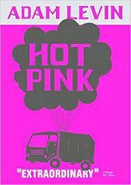 Hot Pink by Adam Levin (used hardback)