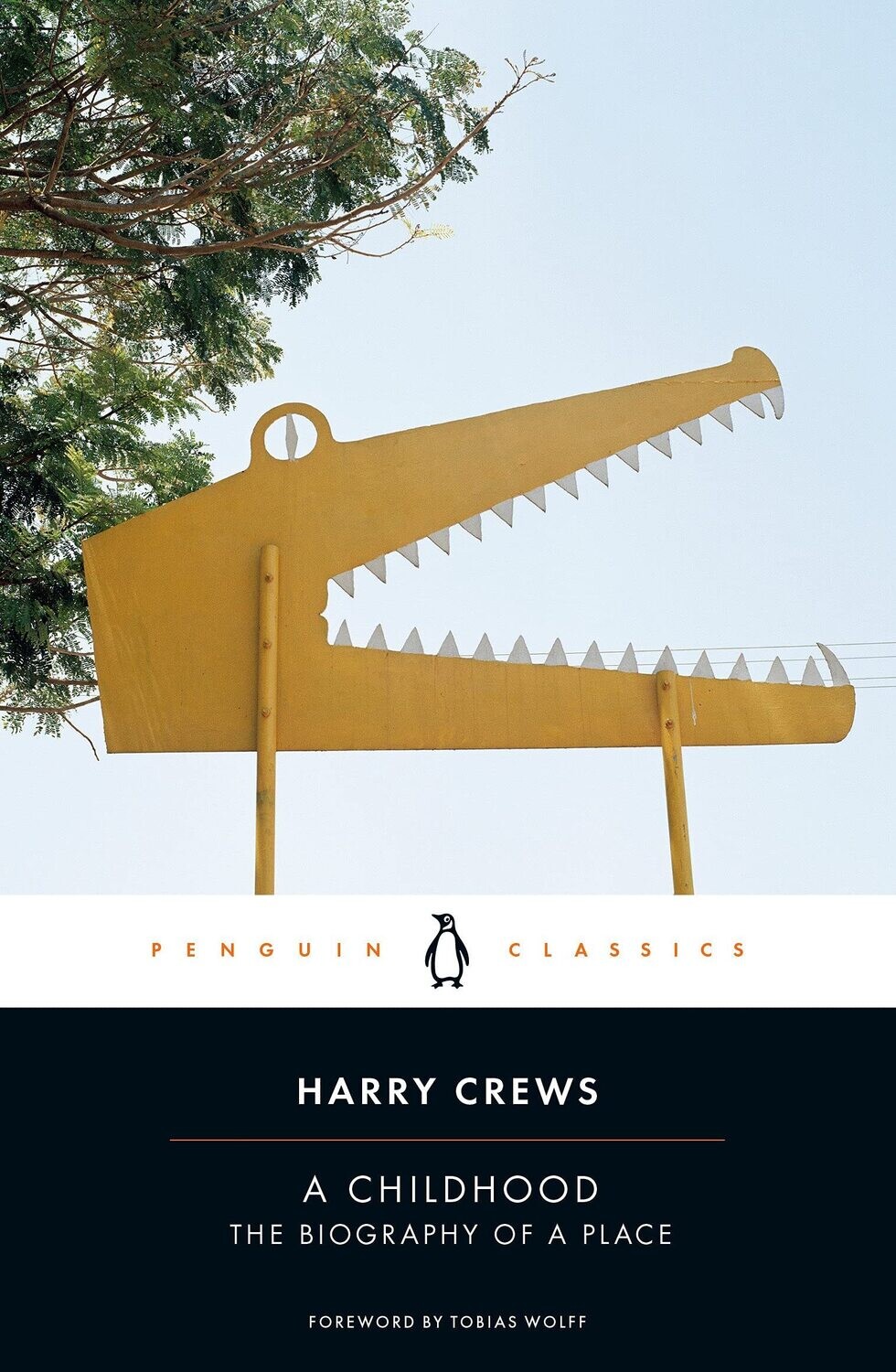 A Childhood: The Biography of a Place by Harry Crews