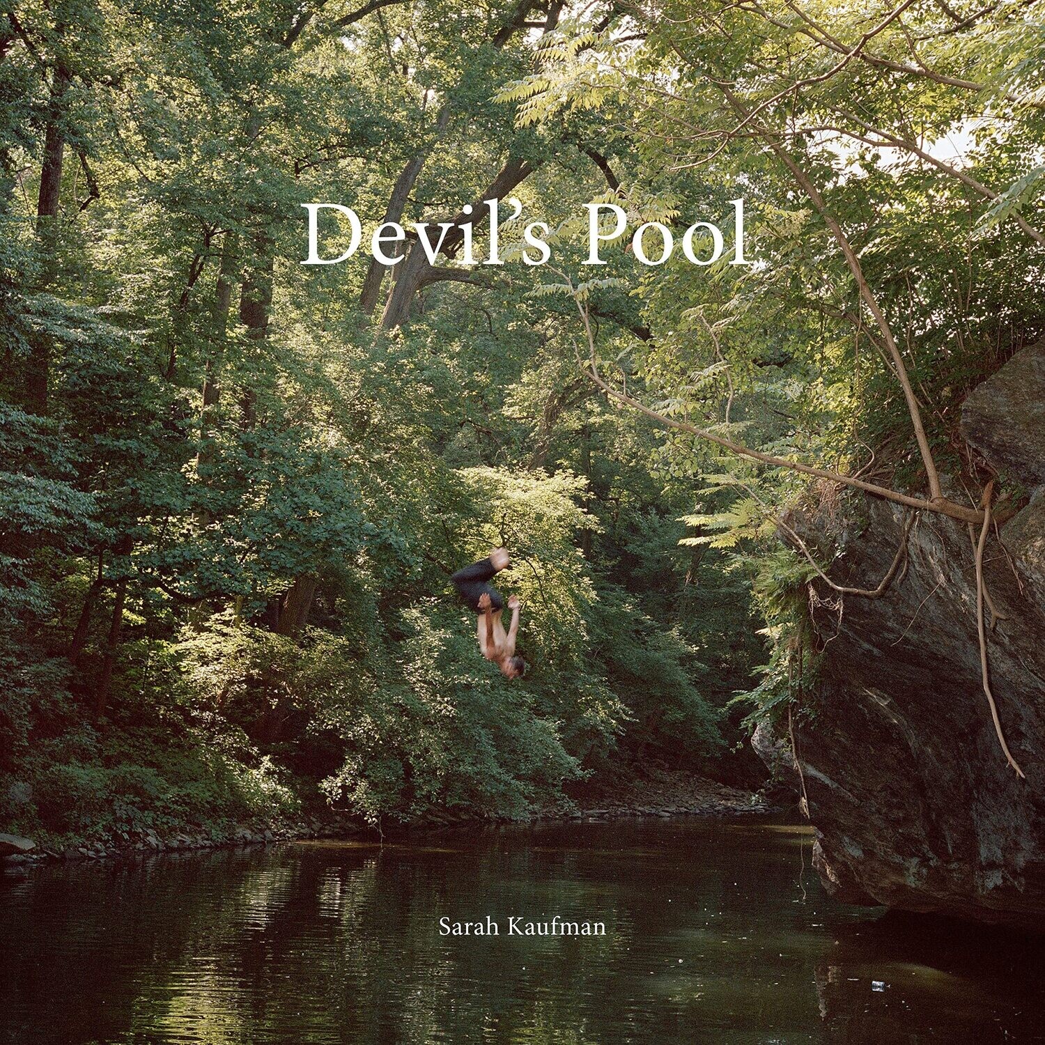 Devil&#39;s Pool by Sarah Kaufman