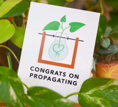 Congrats on Propagating by exit343design