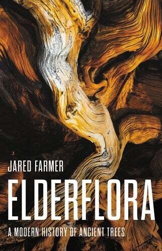 Elderflora: A Modern History of Ancient Trees by Jared Farmer