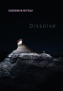 Dissolve by Sherwin Bitsu