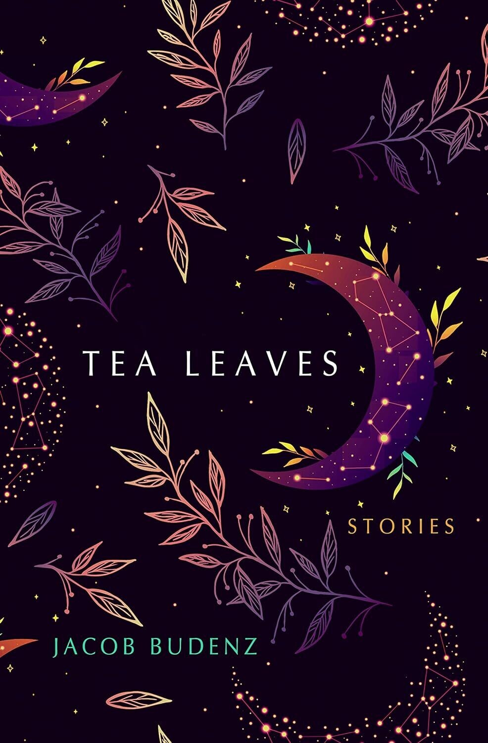 Tea Leaves: Stories by Jacob Budenz