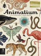 Animalium: Welcome to the Museum by Jenny Broom and Katie Scott