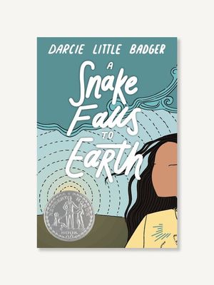 A Snake Falls to Earth by Darcie Little Badger