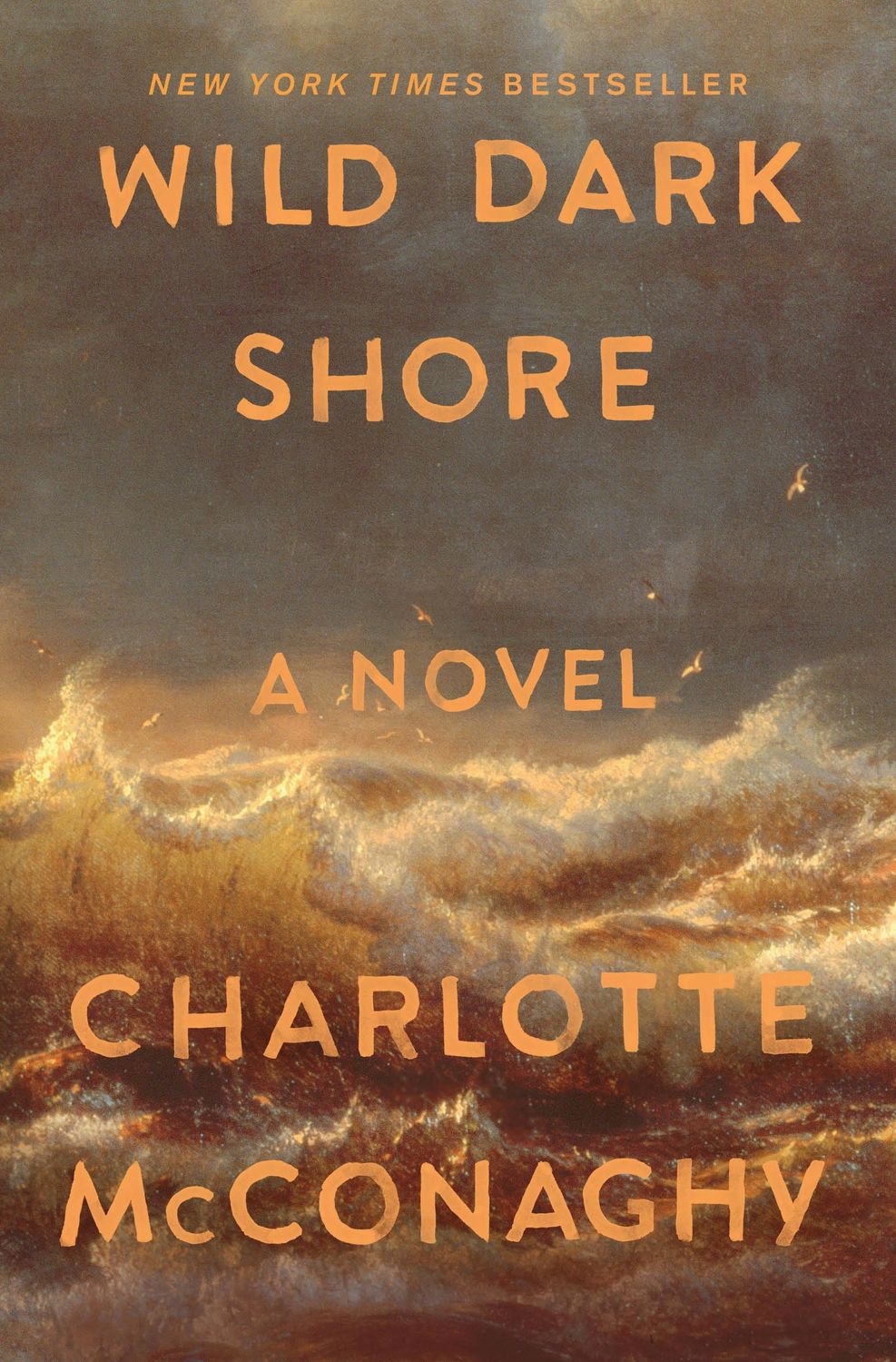 Wild Dark Shore by Charlotte McConaghy