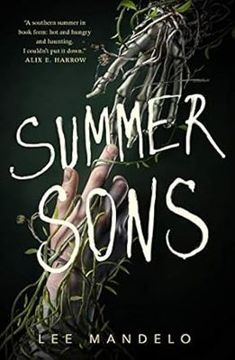 Summer Sons by Lee Mandeo