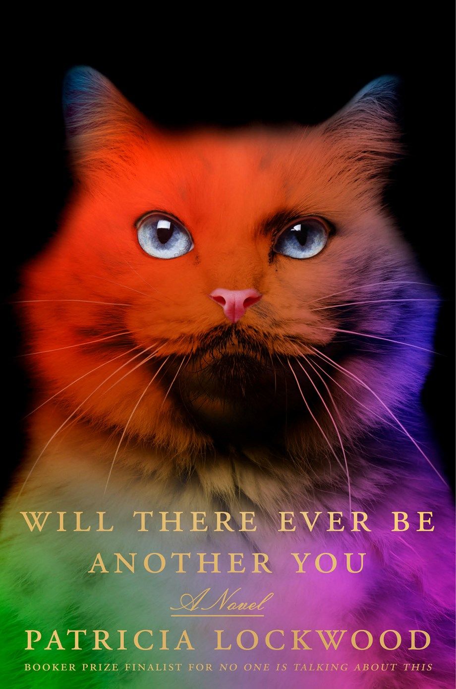 Will There Ever Be Another You by Patricia Lockwood