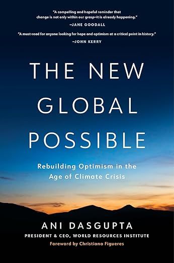 The New Global Possible: Rebuilding Optimism in the Age of Climate Crisis by Ani Dasgupta