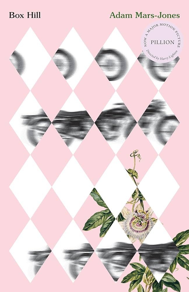 Box Hill: A Story of Low Self-Esteem by Adam Mars-Jones