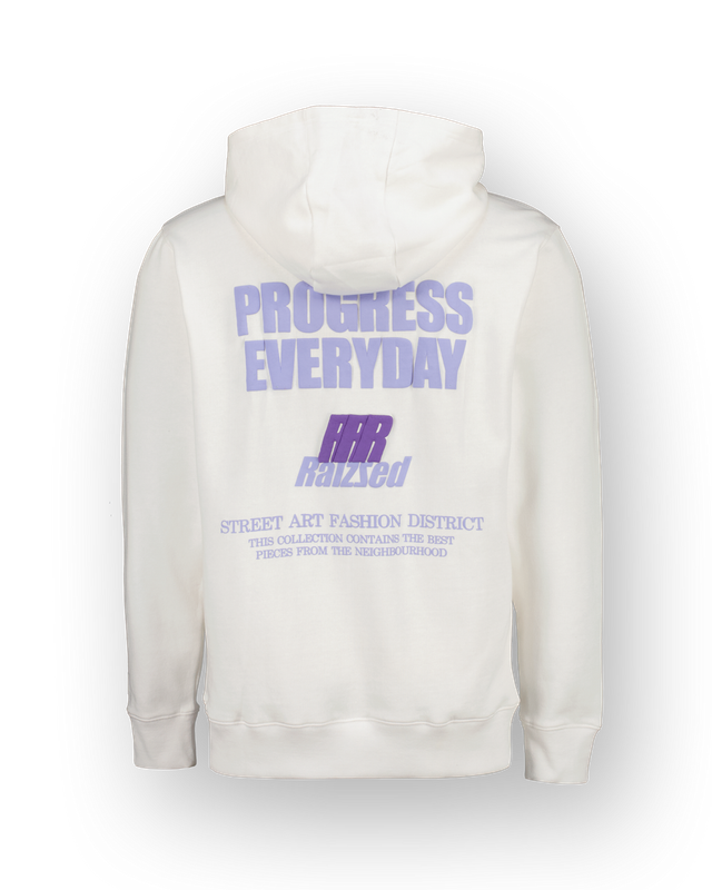 Raizzed Hoodie Niantic