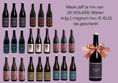 DEGUSTATIEACTIE MIX 24 [HOLASS]