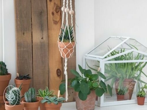 Plantenhanger Macramé Plantenhanger Macramé