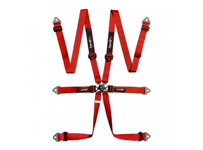 LTEC ENDURANCE 6-PUNTS ALUMINIUM GORDEL - FIA