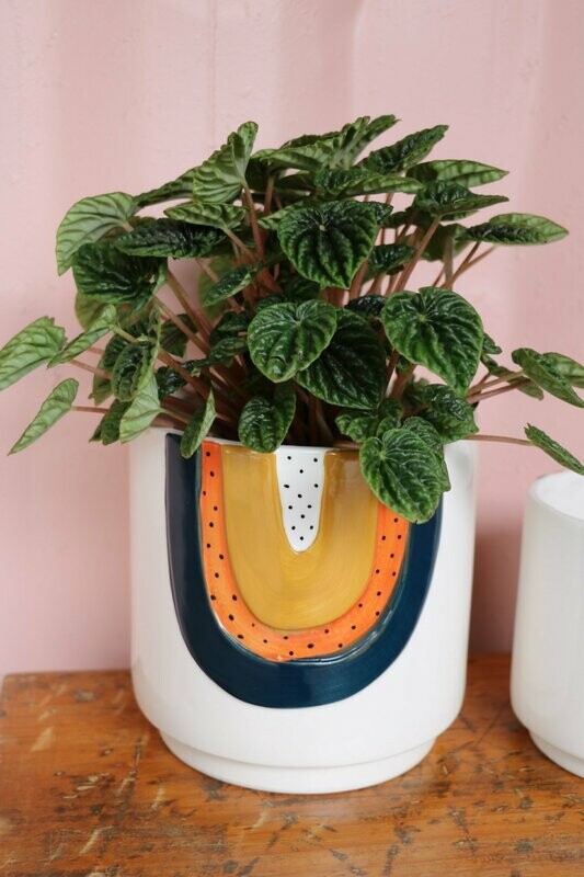 Rainbow planter 17cm (medium), blue & terracotta.