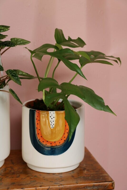 Rainbow planter 14cm (small), blue & terracotta.
