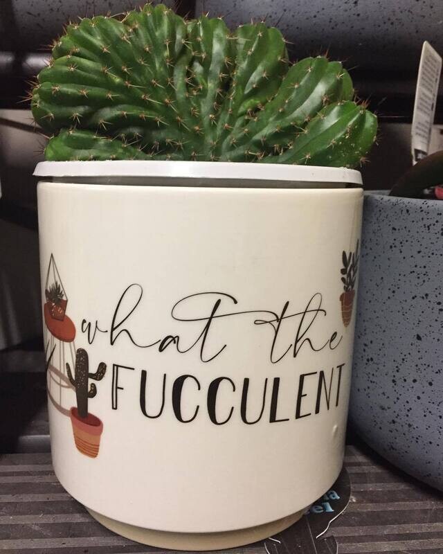 WTF planter