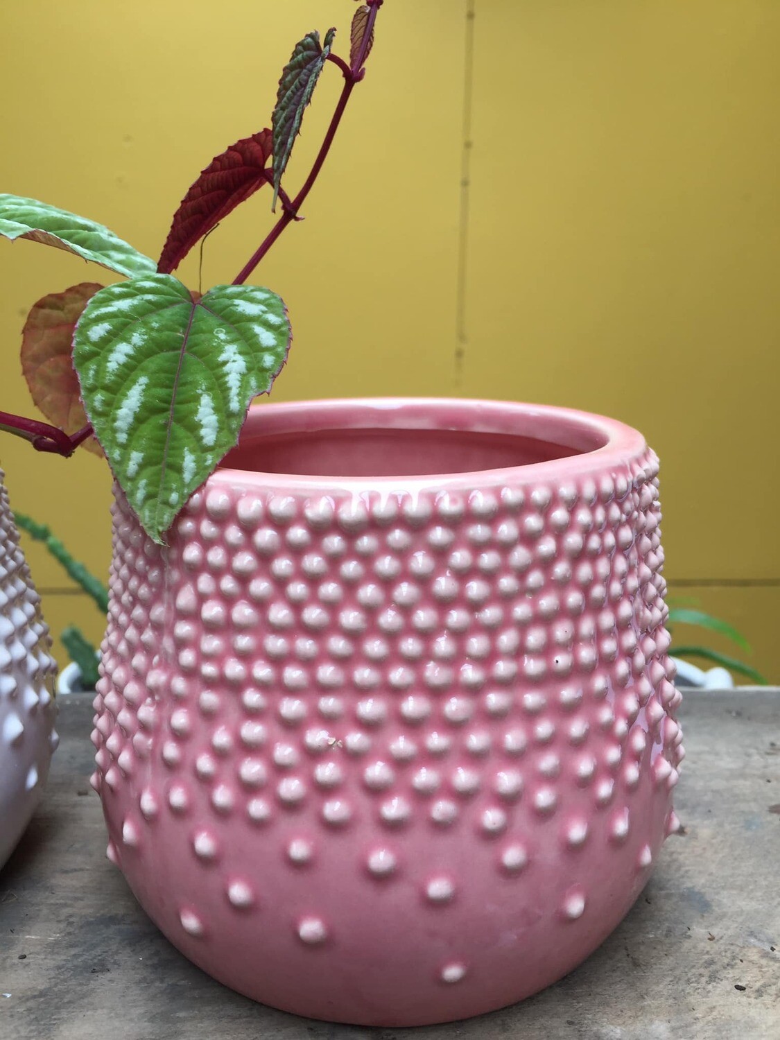 Bubbles planter - pink