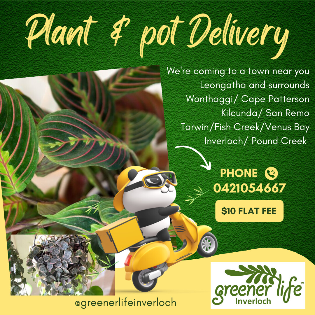Delivery fee