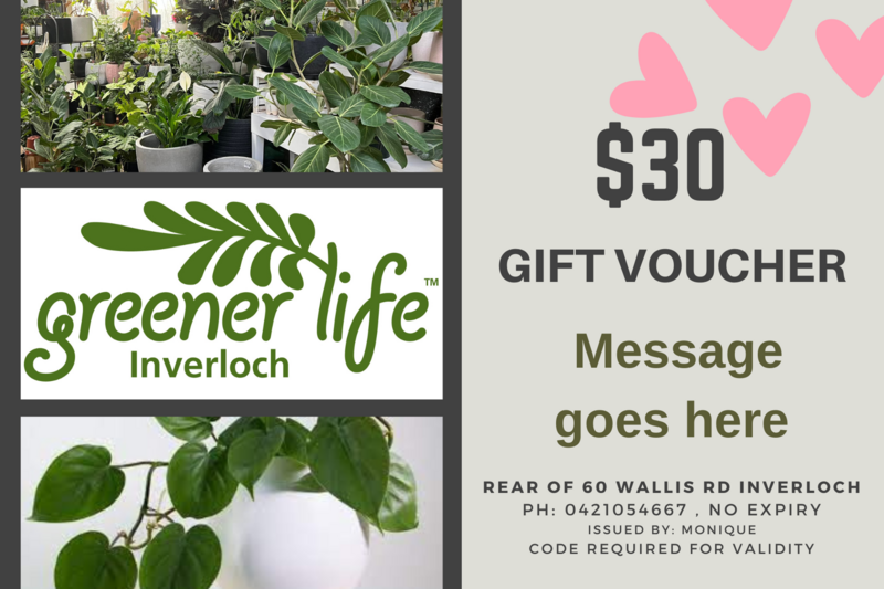 $30 Gift voucher