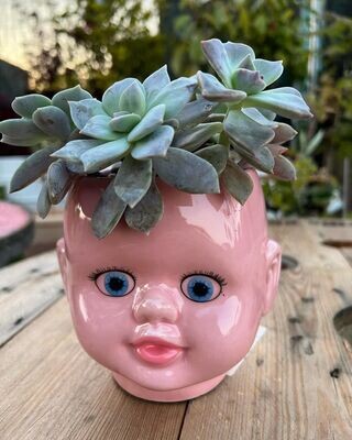 Creepy Doll planter - pink (small)
