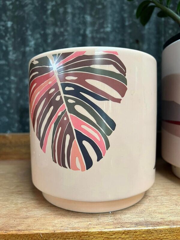 SALE Funky foliage planter SALE Funky foliage planter