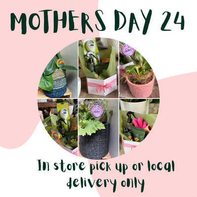 Mother's Day ideas 2024