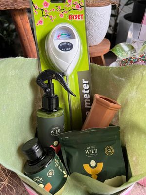 Plant lovers pack with moisture metre