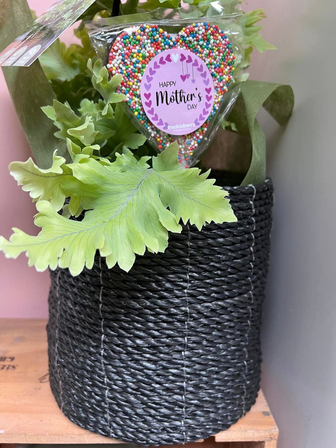 Plant lover's basket combo (large) with Davana fern