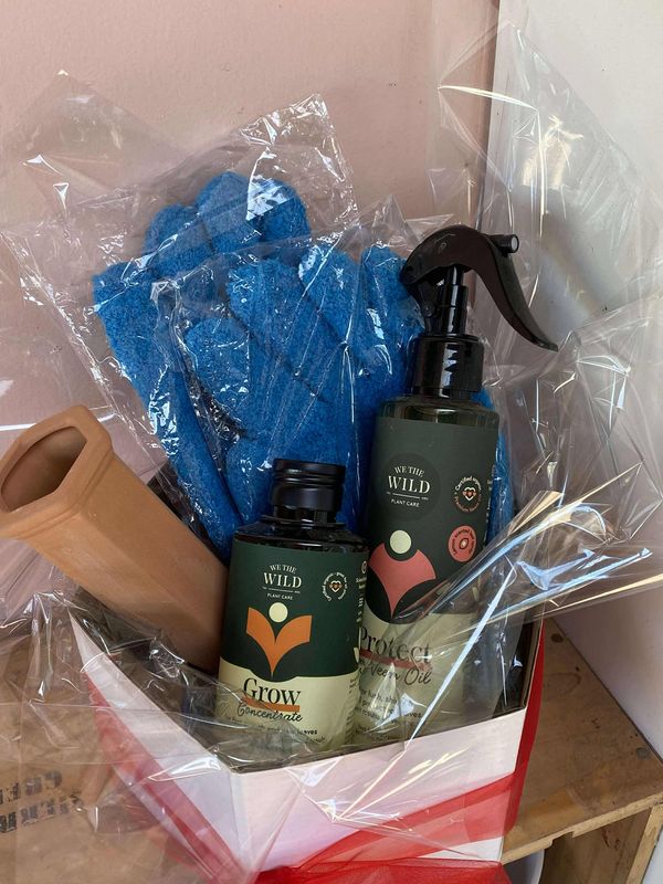 Plant love and shine pack