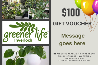 Vouchers