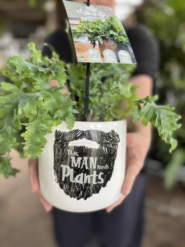 Davana Fern and Man with Plants combo