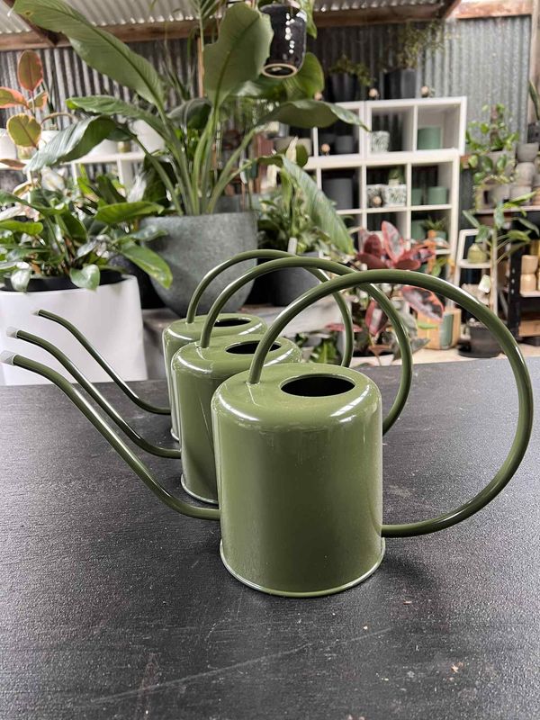Watering can - Green metal 1.5 litre