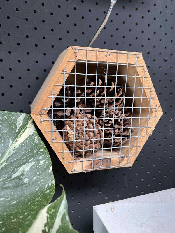 Insect hotels