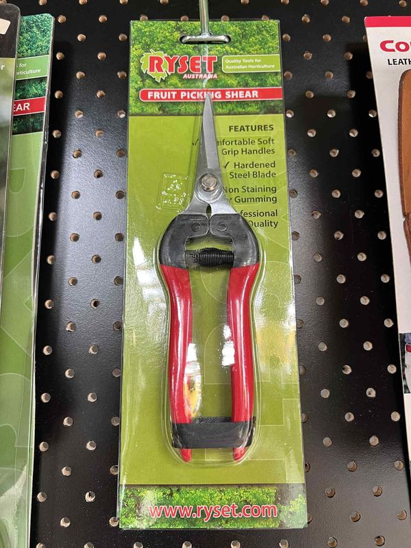 Perfect plant snips