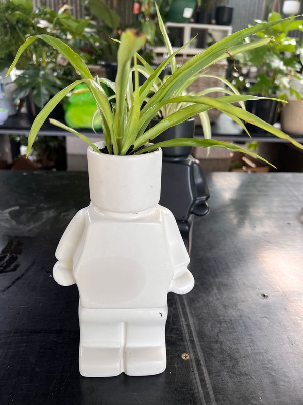 Lego Planter with small plant