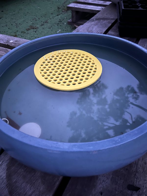 Floating Bee Watering station