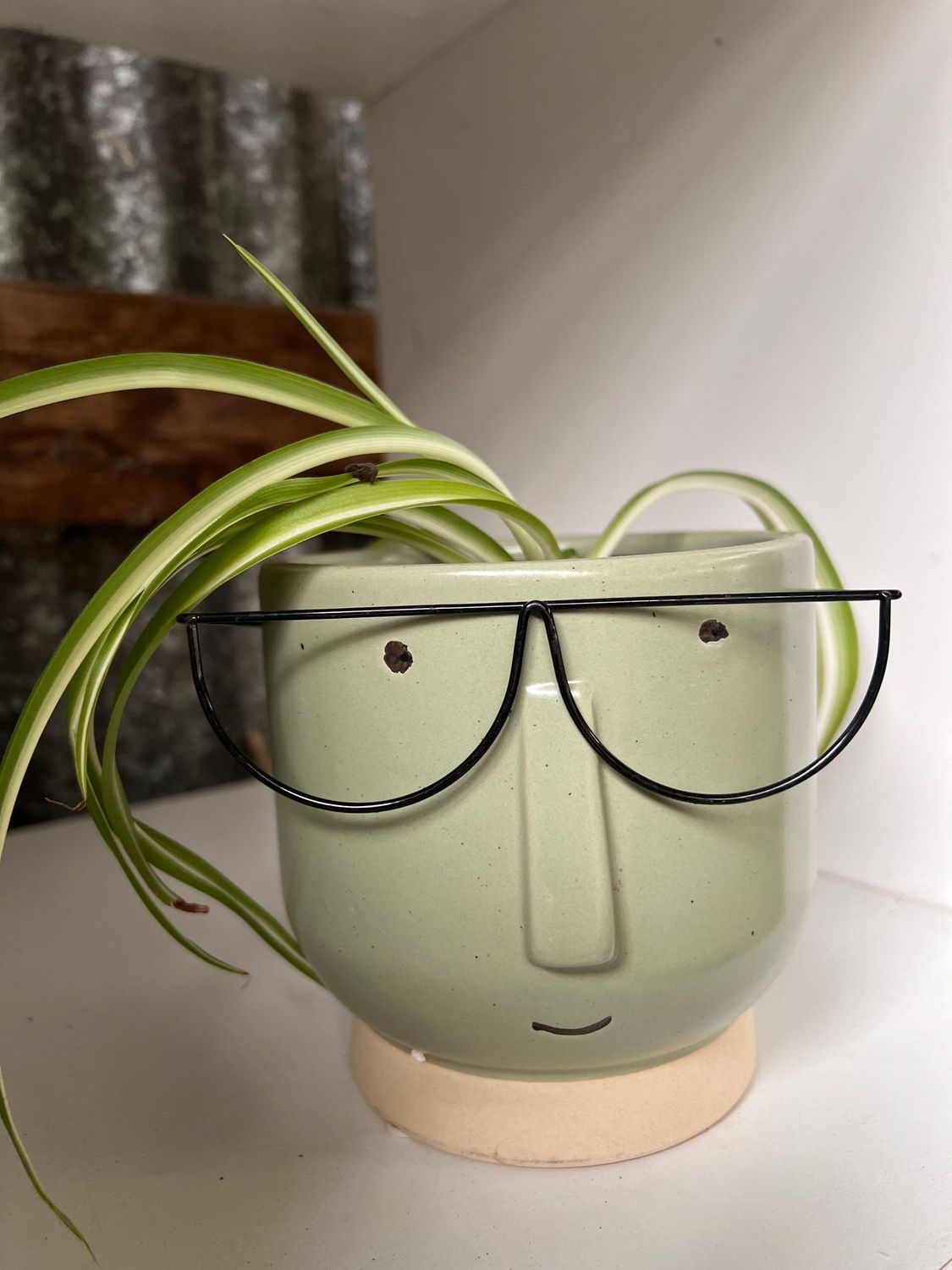 Wyatt Planter and spider plant