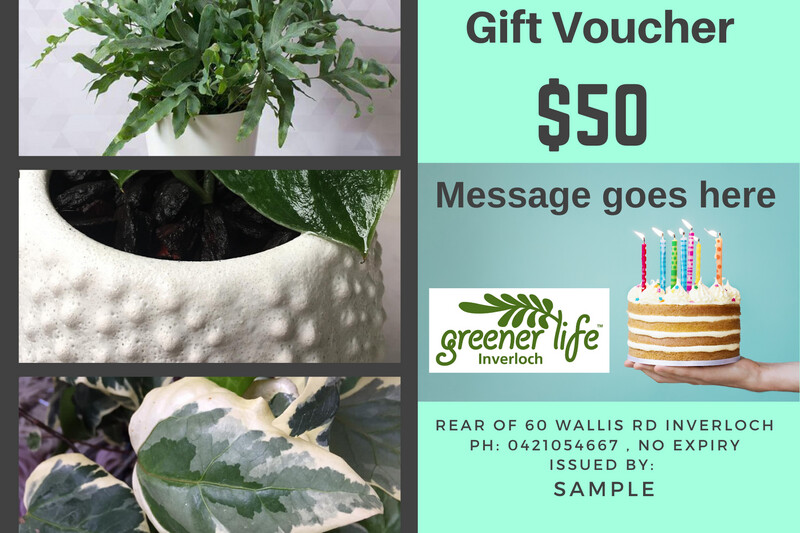 $50 Gift voucher