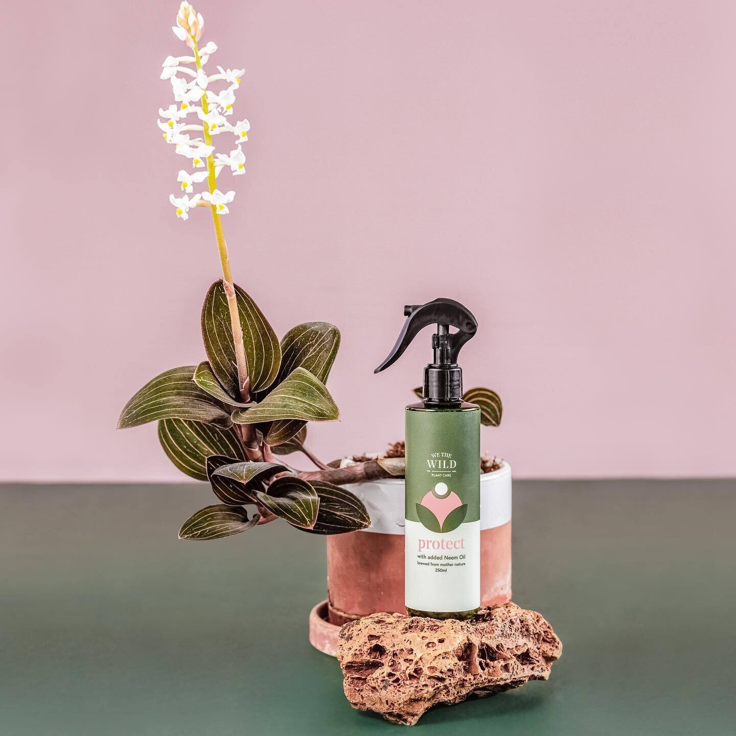 PROTECT from We The Wild  250ml