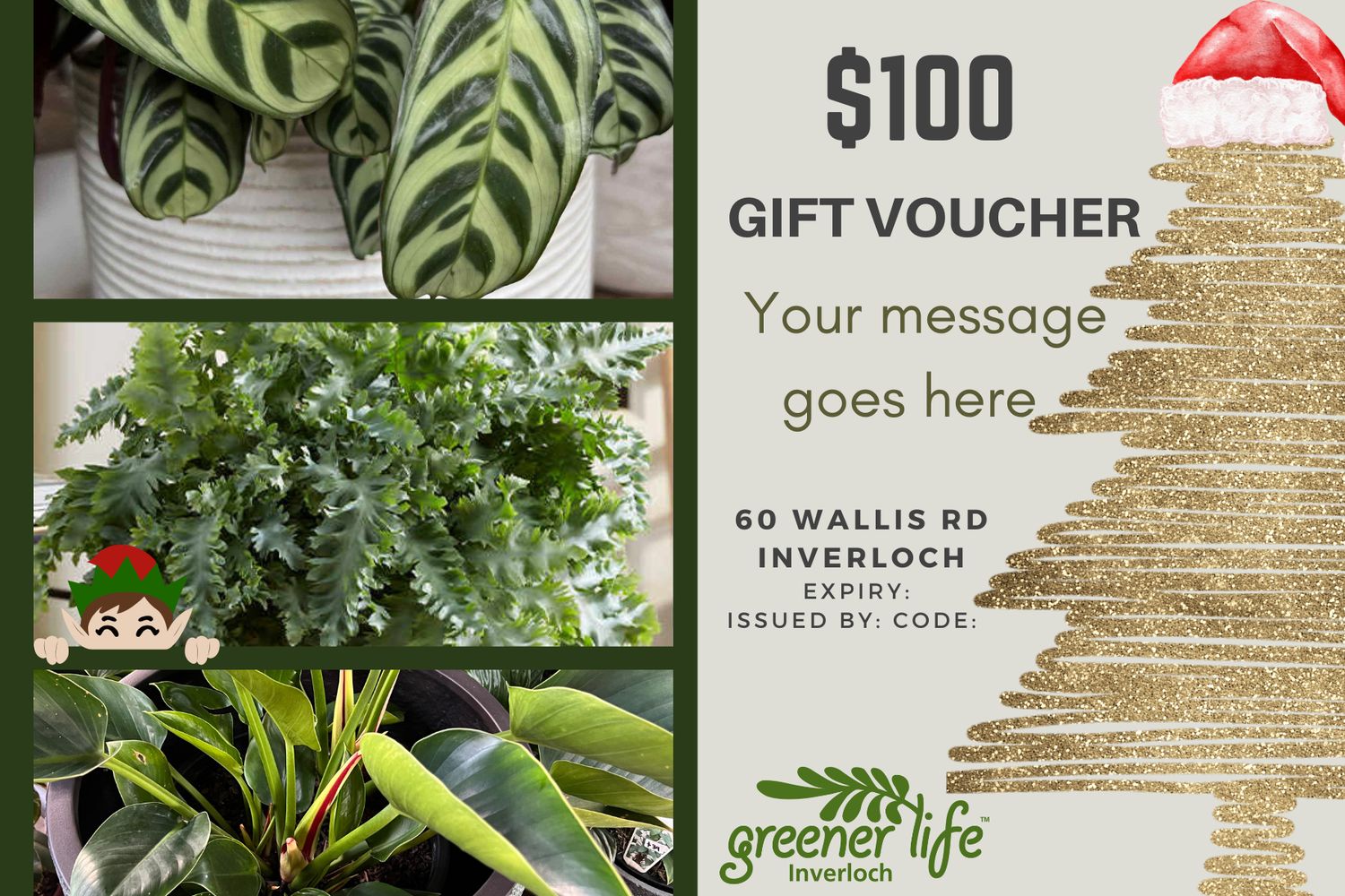 $100 Gift voucher