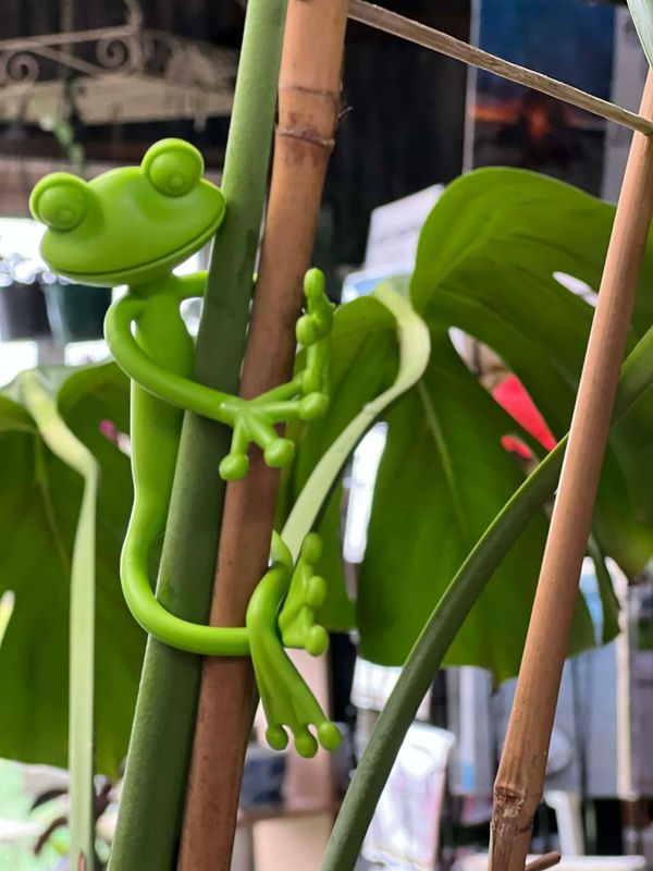 Tree Frog Plant Ties (pk of 3)