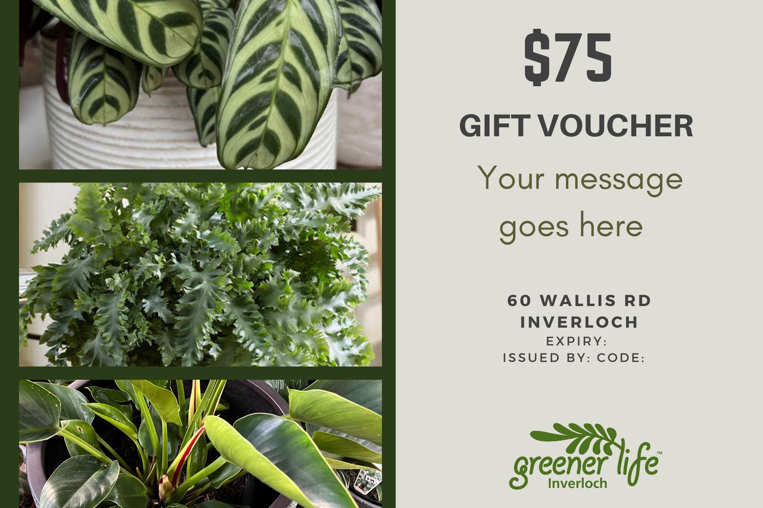 $75 Gift voucher